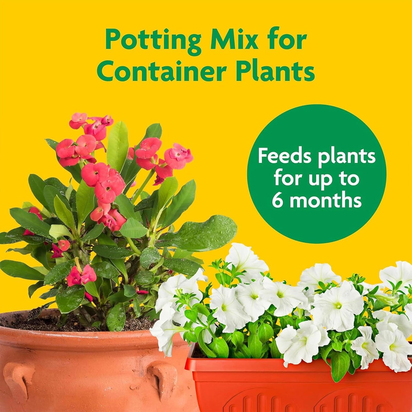 Miracle-Gro 2 Pack Potting Soil Mix for Container Plants, Flowers, Vegetables, Shrubs, Annuals, and Perennials, Feeds for Up to 6 Months, 2 Cu Ft